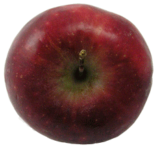 apple2 Menu Plan Monday  October 1st