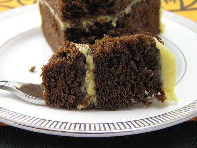 chocolate pumpkin cake