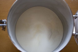 Xanthan Gum