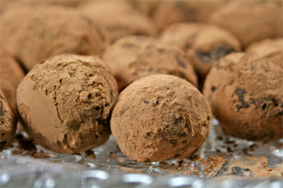 chocolatetruffles2 Chocolate Truffles
