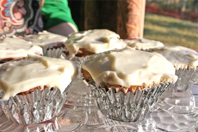 cupcakeshum Hummingbird Cupcakes